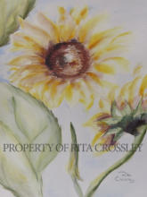Sunflowers - Water color on paper  -11” X 14” -available - Painting by Rita Crossley