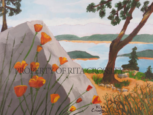 poppies with a view - by Rita Crossley