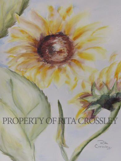 sunflowers - by Rita Crossley